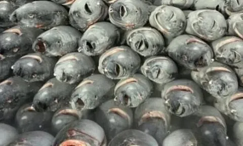 Một mặt hàng gần tỷ USD của Việt Nam chinh phục hơn 110 nước đang “gặp khó”, Thủ tướng vừa chỉ đạo gì?