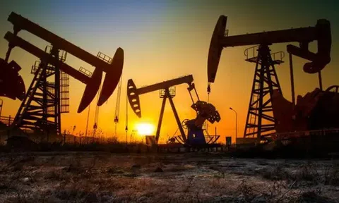 Bị Mỹ áp thuế, Ấn Độ bất ngờ tìm ra cách 'lách luật' để mua dầu Nga, chuyên gia khẳng định: vẫn đang nhận nguồn cung ổn định