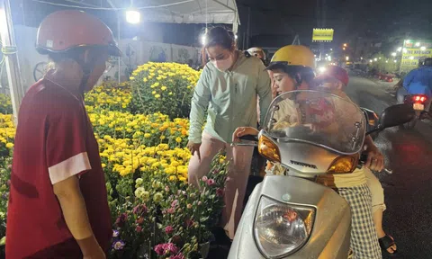 Hoa Tết giá rẻ 50.000 - 100.000 đồng/chậu cháy hàng