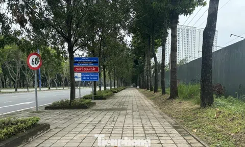 Cận cảnh tuyến đường đầu tiên ở TPHCM sẽ cải tạo thành làn xe đạp