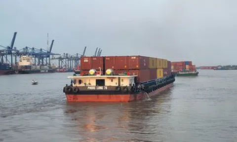 Sốt ruột với cước vận tải biển
