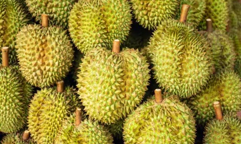 Quyết lấy lại thị phần tại Trung Quốc, một ông lớn Thái Lan chuẩn bị ra mắt xôi sầu riêng ăn liền, sẽ mở rộng sang cả thị trường châu Âu