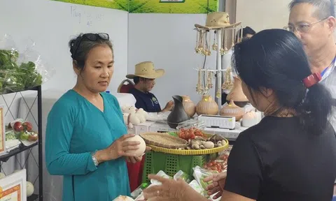 Để sản phẩm OCOP không chỉ là "hàng trưng bày" tại hội chợ