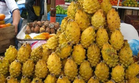 Việt Nam sở hữu 'siêu trái cây' khiến người Trung Quốc siêu mê: xuất khẩu số 1 thế giới, diện tích trồng hơn 55.000 ha