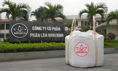 Công ty liên quan đến ông Nguyễn Ngọc Thạch tăng sở hữu tại Phân lân Ninh Bình