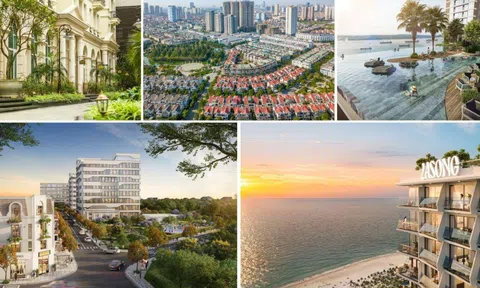 Văn Phú lọt Top 10 thương hiệu bất động sản giá trị nhất Việt Nam 2025