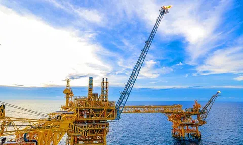 PVS đang giữ hơn 16.800 tỷ đồng tiền mặt