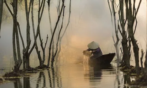 Lập kỷ lục chưa từng có, mặt hàng Việt Nam khiến Trung Quốc thích mê, ồ ạt thu mua