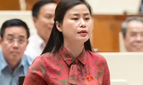 ĐBQH đề nghị Chính phủ nêu giải pháp sắp xếp cán bộ, trụ sở dôi dư sau sáp nhập