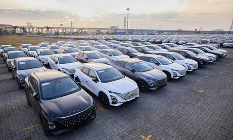 Ô tô nhập: Xe Nhật và Đức sụt giảm, Trung Quốc tăng mạnh