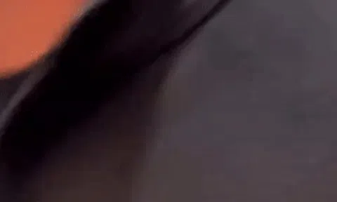 Nam ca sĩ 26 tuổi bị fan cuồng chửi bới, gây hỗn loạn tại sân bay