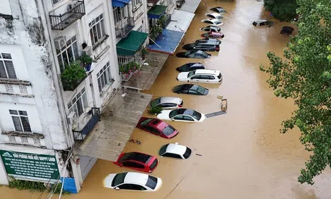 Bảo hiểm chi trả gần 1.700 tỷ đồng cho khách hàng bị thiệt hại do bão, lũ