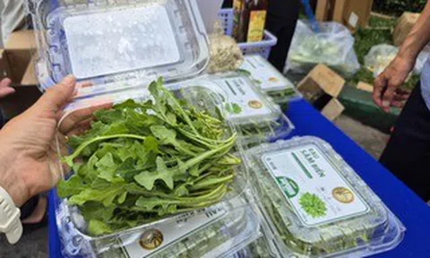 Bất ngờ về loại rau 350.000 đồng/kg vẫn được người ở TPHCM xem là “rẻ”