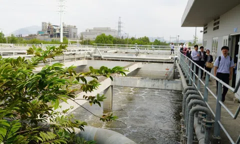 KCN chuyên sâu Phú Mỹ 3 được đánh giá thế nào?