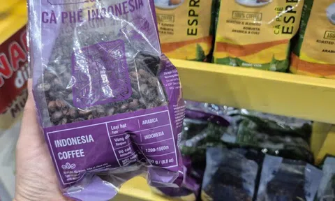 Giá cà phê hôm nay 29-12: Vì sao Việt Nam chi hơn nửa tỉ USD nhập cà phê?