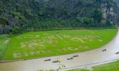 Ninh Bình mời gọi du khách về ngắm mùa vàng Tam Cốc