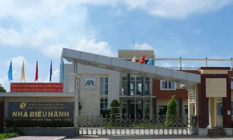 Doanh nghiệp 'ngược đời': Cầm 830 tỷ tiền tươi, vốn hóa chỉ 640 tỷ