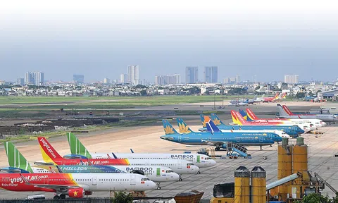 Hơn 800 chuyến bay bị hủy trong nửa đầu năm 2025