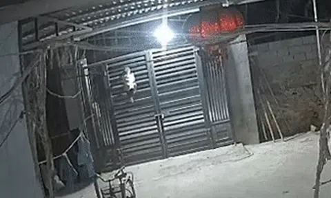 Thót tim cảnh bé trai 2 tuổi trèo cổng cao 2m ở Thanh Hóa