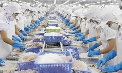 Xuất khẩu tôm tiếp tục tăng cao