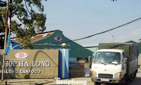 Vụ patê 'dính' thịt bệnh: Tình trạng nhà máy Đồ hộp Hạ Long hiện nay