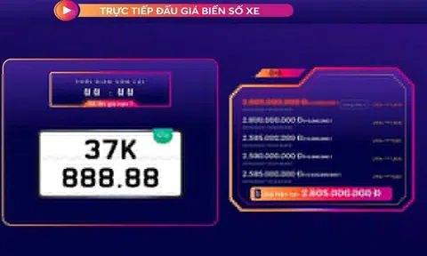 Chuyển nhượng biển số đẹp, tài sản số đóng thuế thế nào?