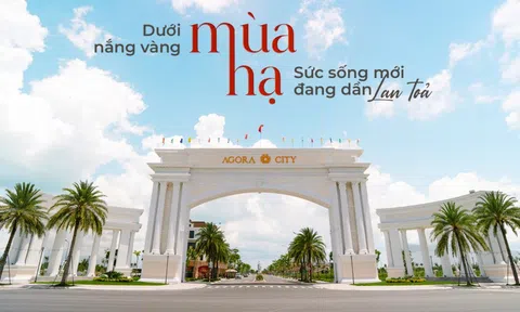 Bí mật sau cánh cổng chào với họa tiết bông lúa được xác nhận kỷ lục Việt Nam tại Thủ Thừa!