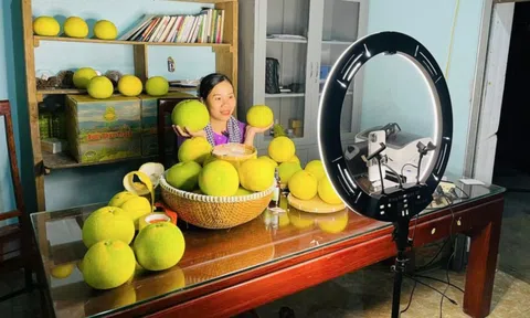 Hà Tĩnh chinh phục người tiêu dùng qua livestream bán hàng TikTok