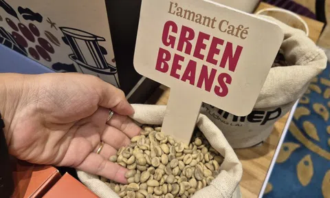 Giá cà phê hôm nay 12-1: Điểm danh những "ông lớn" xuất khẩu