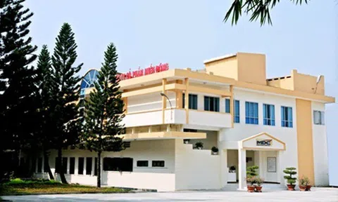 Điều gì giúp cổ phiếu MDG rời “vùng cảnh báo” trên HoSE?