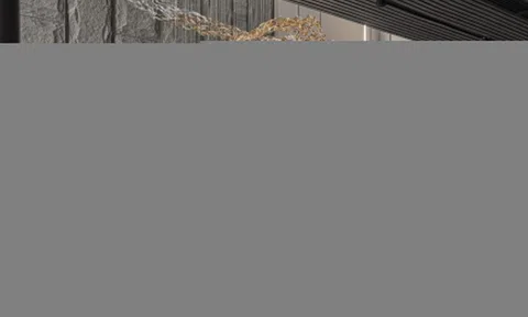 Nữ chủ nhà Gen Z chi 2,5 tỷ đồng phủ đen căn duplex