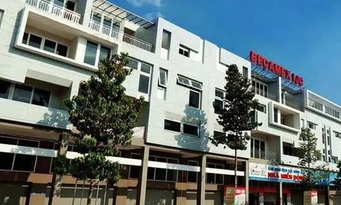 Becamex IJC hoàn tất chào bán hơn 251 triệu cổ phiếu cho 9.240 cổ đông