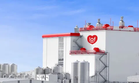 Sữa Quốc tế dự kiến chia cổ tức tới 80%, đặt mục tiêu lợi nhuận tăng gần 3 lần