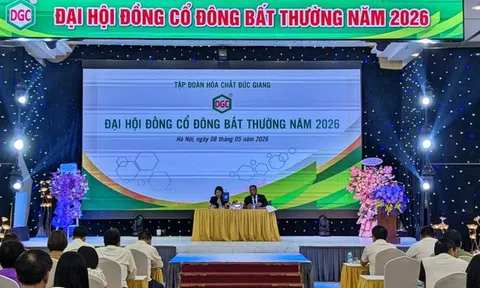 ĐHĐCĐ Hóa chất Đức Giang: Kiện toàn nhân sự cấp cao, nói rõ trách nhiệm cá nhân bị khởi tố