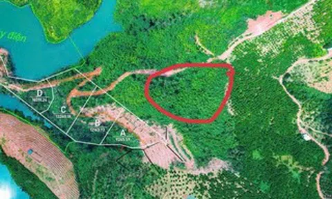 Tin vui cho người mua "đất giấy tay" trước 2024