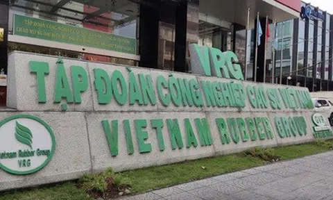 GVR báo lãi kỷ lục quý I/2026, mảng cao su tiếp tục dẫn dắt tăng trưởng