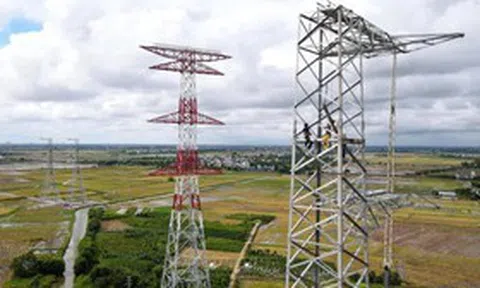 VNECO bác tin tham gia dự án 500kV mạch 3, lên tiếng việc hủy niêm yết bắt buộc