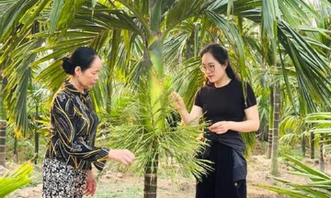 Thủ khoa đại học bỏ phố về quê nuôi 1.500 con gà, phát triển đầm tôm 6.000m²