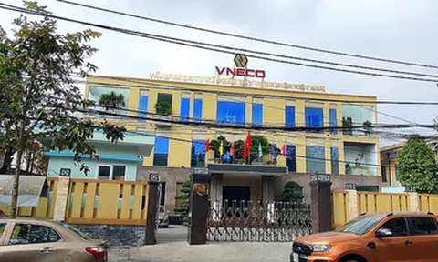 VNECO nói gì khi cổ phiếu VNE bất ngờ tăng trần liên tiếp sau thông tin hủy niêm yết?