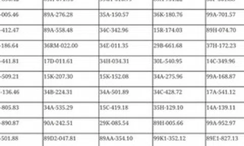 699 chủ phương tiện vi phạm mang biển số sau khẩn trương nộp phạt nguội theo Nghị định 168