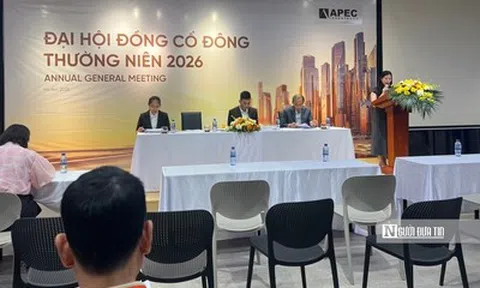 ĐHĐCĐ API: Mục tiêu có lãi trở lại, kỳ vọng bứt tốc từ loạt dự án tại Huế, Lạng Sơn, Bắc Giang