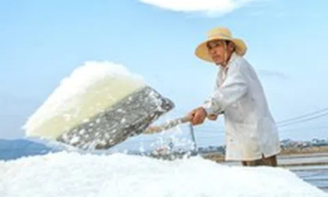 Diêm dân 'cõng nắng' mưu sinh trên cánh đồng muối cuối cùng dưới chân đèo Ngang