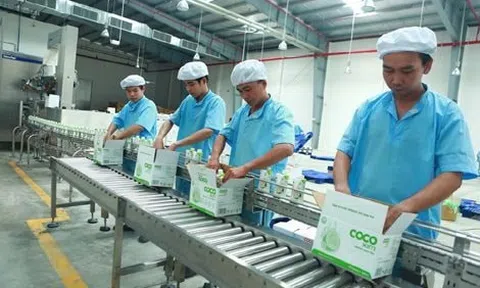 Thu nhập Chủ tịch công ty bán gần 12.000 tỷ nguyên liệu cho Vinamilk, Masan, Trung Nguyên có thể lên tới hơn 5,7 tỷ đồng trong năm 2025