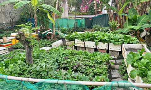 Mạnh dạn mở lời vì con, người mẹ nhút nhát nhận niềm vui bất ngờ từ hàng xóm