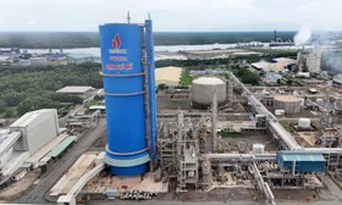 Đạm Phú Mỹ đang nắm giữ hơn 9.000 tỷ đồng tiền mặt