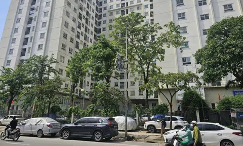 Bỗng dưng bị đuổi khỏi chung cư mua lại từ nhà ở xã hội