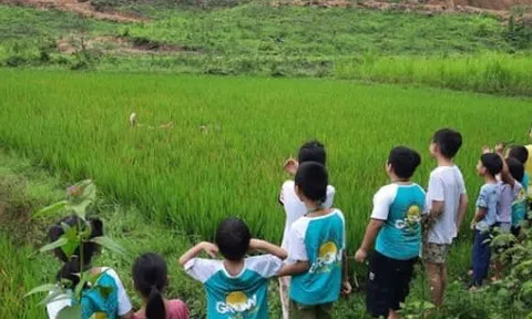 Trại hè bị chê như ‘học kỳ đi đày’, nhiều phụ huynh vội quay xe