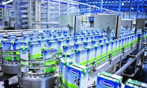 SCIC Investment đăng ký mua lại 1 triệu cổ phiếu Vinamilk sau khi thoái vốn hồi đầu năm