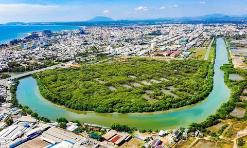 Lâm Đồng "đánh thức" gần 30ha đất ngập nước, tái sinh "lá phổi xanh" giữa đô thị