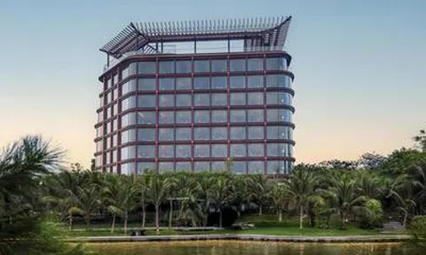 Doanh thu 6 tháng năm 2026 của OCH đạt mức kỷ lục trong 20 năm